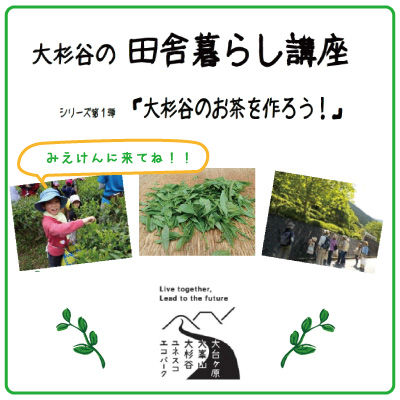 大杉谷の田舎暮らし講座「大杉谷のお茶を作ろう！」 | 移住関連イベント情報