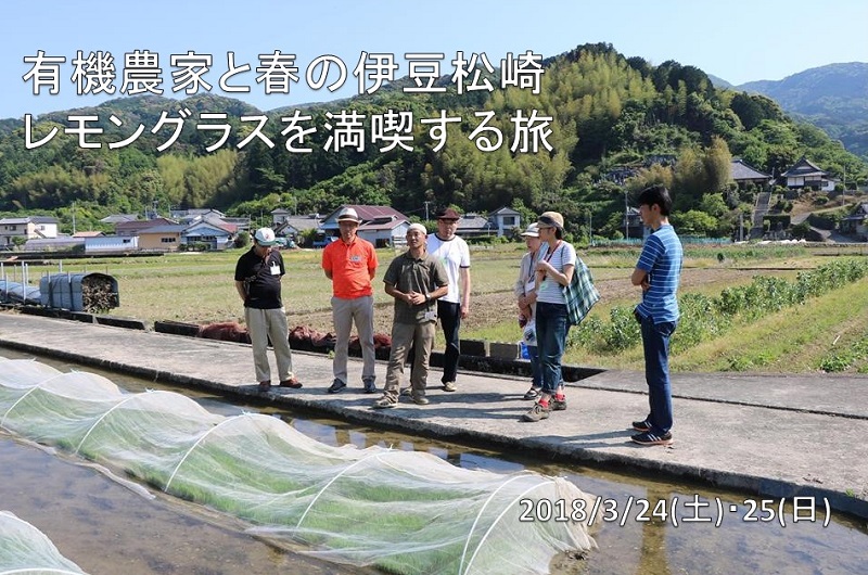 有機農家と春の伊豆松崎レモングラスを満喫する旅 | 移住関連イベント情報