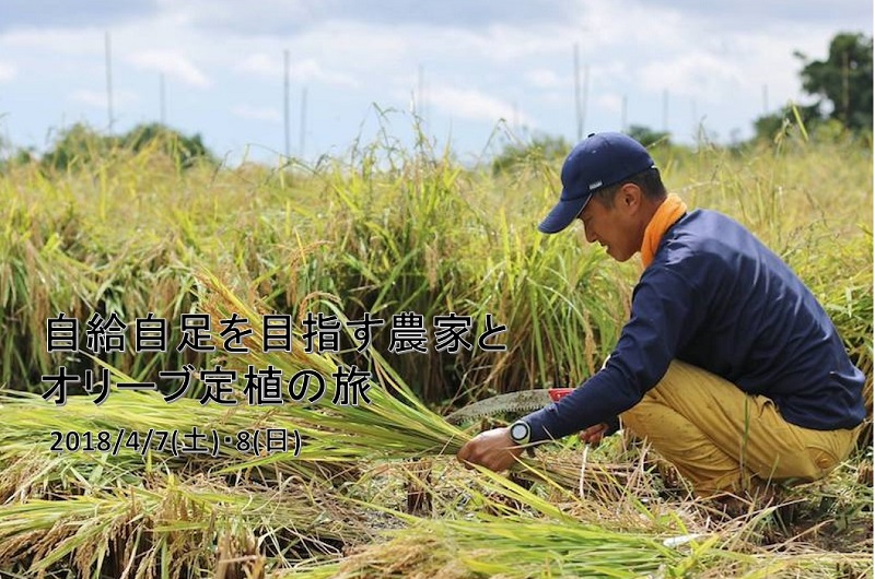 自給自足を目指す農家とオリーブ定植の旅 | 移住関連イベント情報