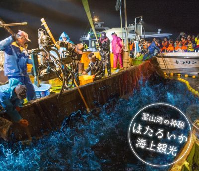 「ほたるいか海上観光」はじまる | 地域のトピックス