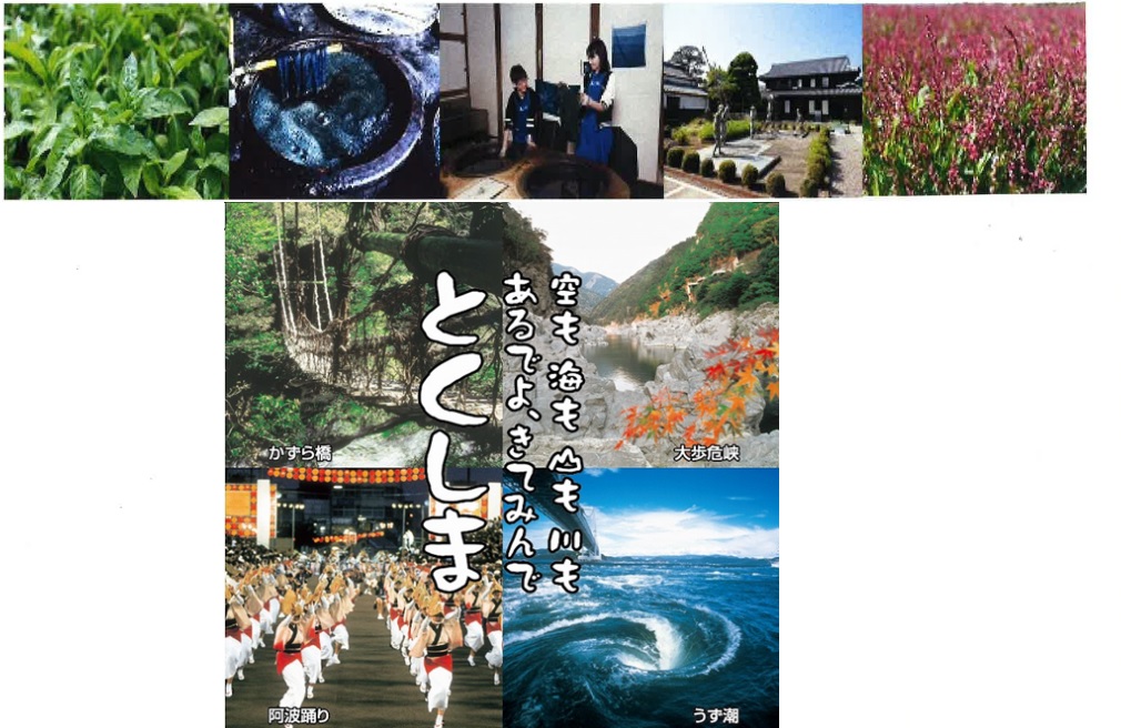 阿波藍の里 徳島県藍住町で地域おこし協力隊募集! | 移住関連イベント情報