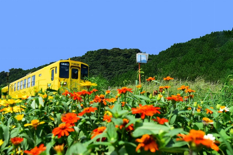 伊万里市大川町　地域おこし協力隊を募集します。 | 移住関連イベント情報