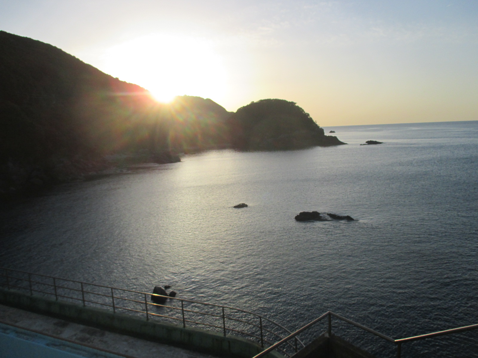 早春の徳島は桃源郷<br>~後編~ | 地域のトピックス