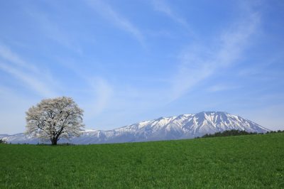 雫石町地域おこし協力隊を募集！【住環境の整備及びプロデュース業務・レストラン業務】 | 移住関連イベント情報