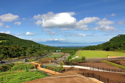 鹿児島市観光農業公園・地域おこし協力隊募集！ | 移住関連イベント情報