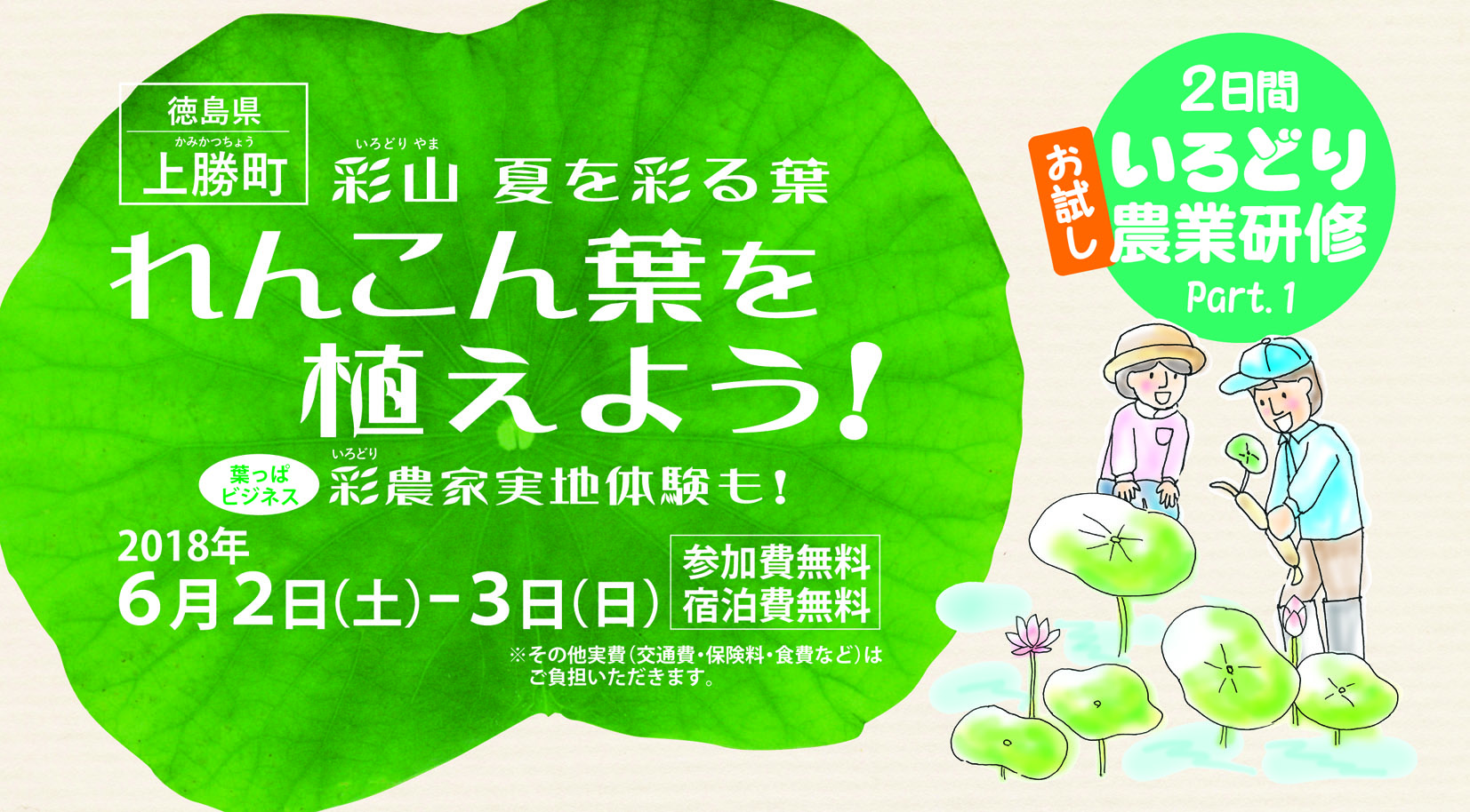 上勝町 いろどり農業研修 募集 | 移住関連イベント情報