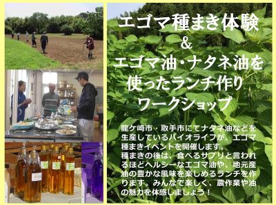 龍ケ崎市・エゴマ種まき体験 ＆ エゴマ油・ナタネ油を使った ランチ作りワークショップ | 地域のトピックス