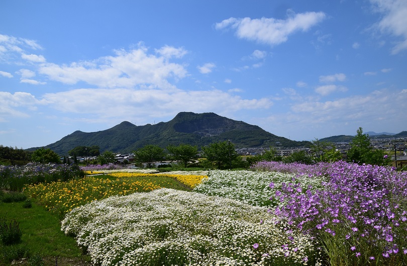 求む！地域おこし協力隊　～弘法大師空海生誕の地　善通寺市～ | 移住関連イベント情報