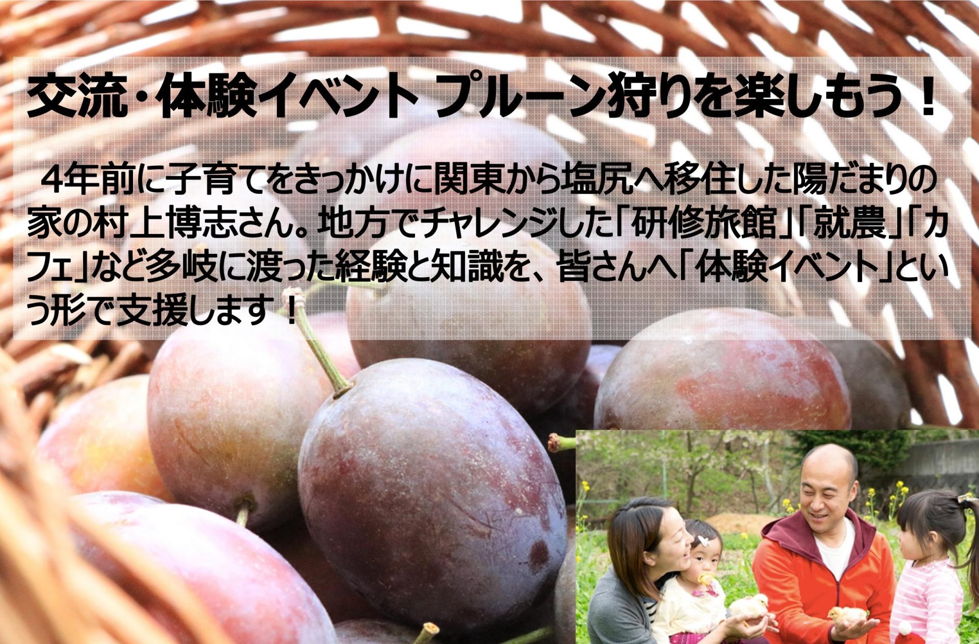 塩尻市 交流・体験イベント プルーン狩りを楽しもう!【9/6申込締切】 | 移住関連イベント情報