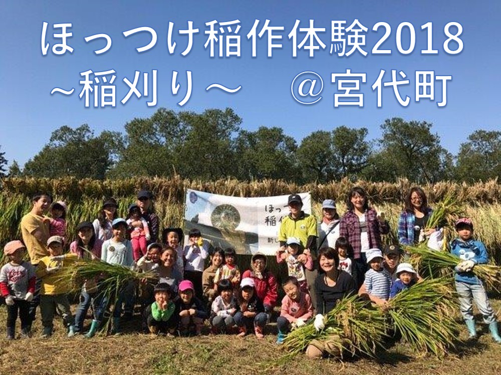 ほっつけ稲作体験2018~稲刈り~《宮代町》 | 地域のトピックス