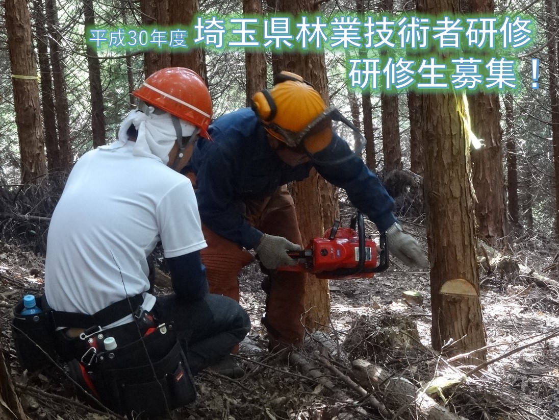 「埼玉県林業技術者研修」研修生募集中! | 移住関連イベント情報