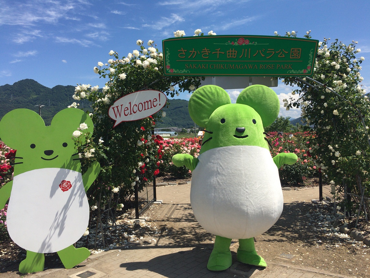 咲き誇るバラとハイテクの町 坂城(さかき)に来てみませんか? | 地方暮らしのススメ
