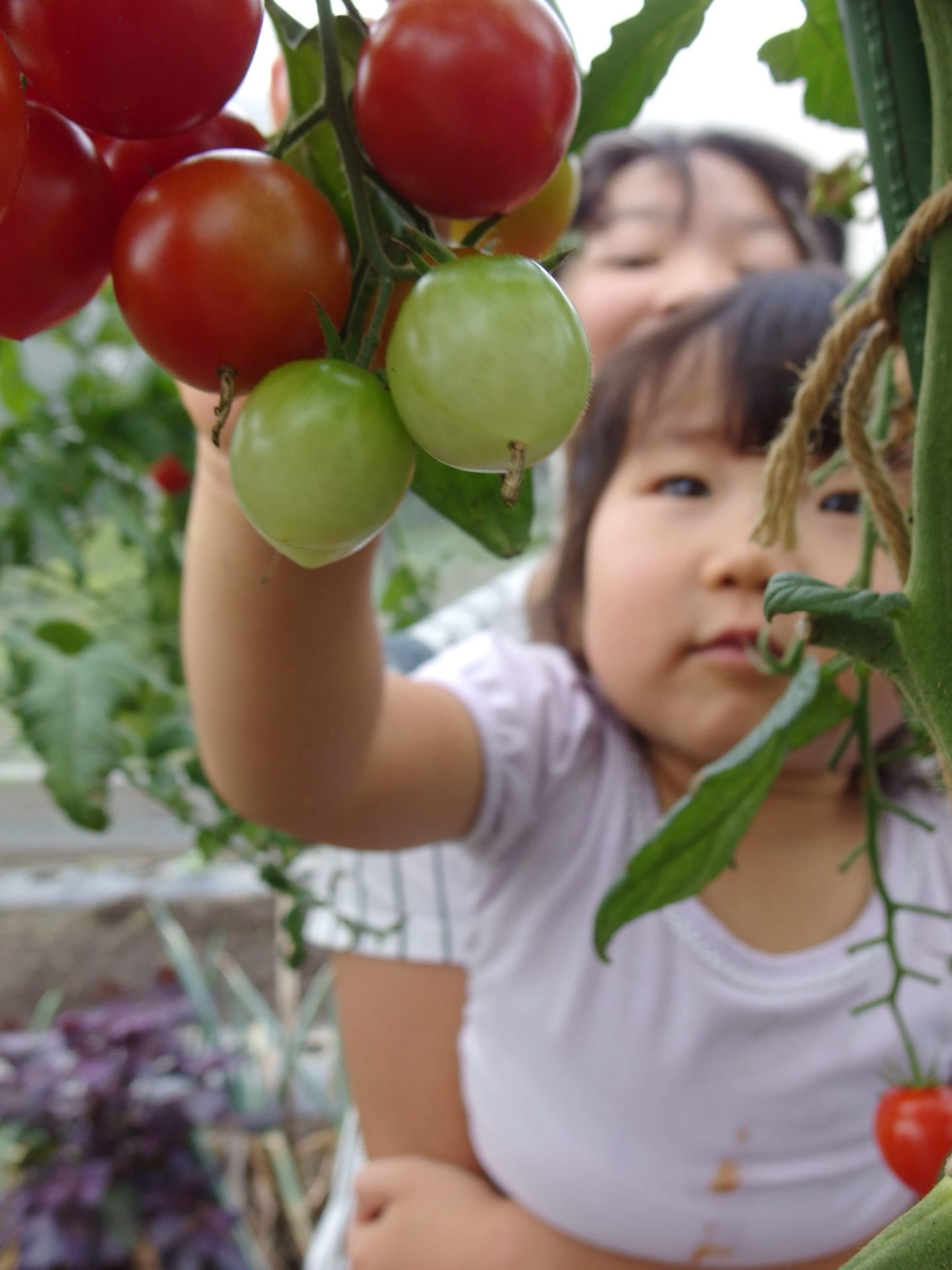 小学校50校を見学してたどりついた場所 たつの暮らし×子育てカフェ | 移住関連イベント情報
