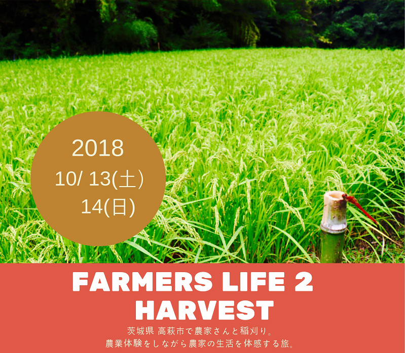 高萩市・FARMERS LIFE 2 ~ プロ農家に学ぶ若栗稲刈り編 ~ | 移住関連イベント情報