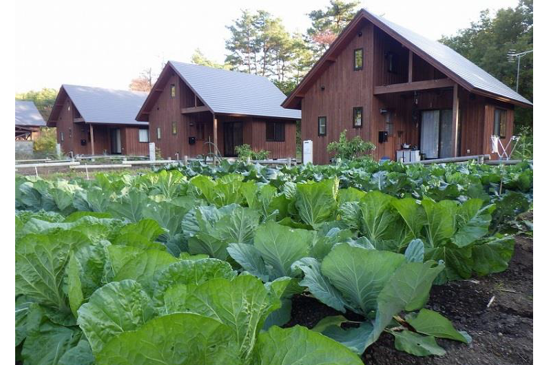 ～セカンドライフからでもOK～南会津で始める「失敗しない！？トマト農家」 | 移住関連イベント情報