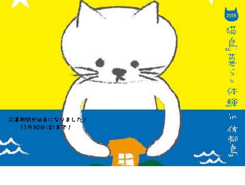 「猫島暮らし体験 in 多度津町・佐柳島」参加モニター募集! | 移住関連イベント情報