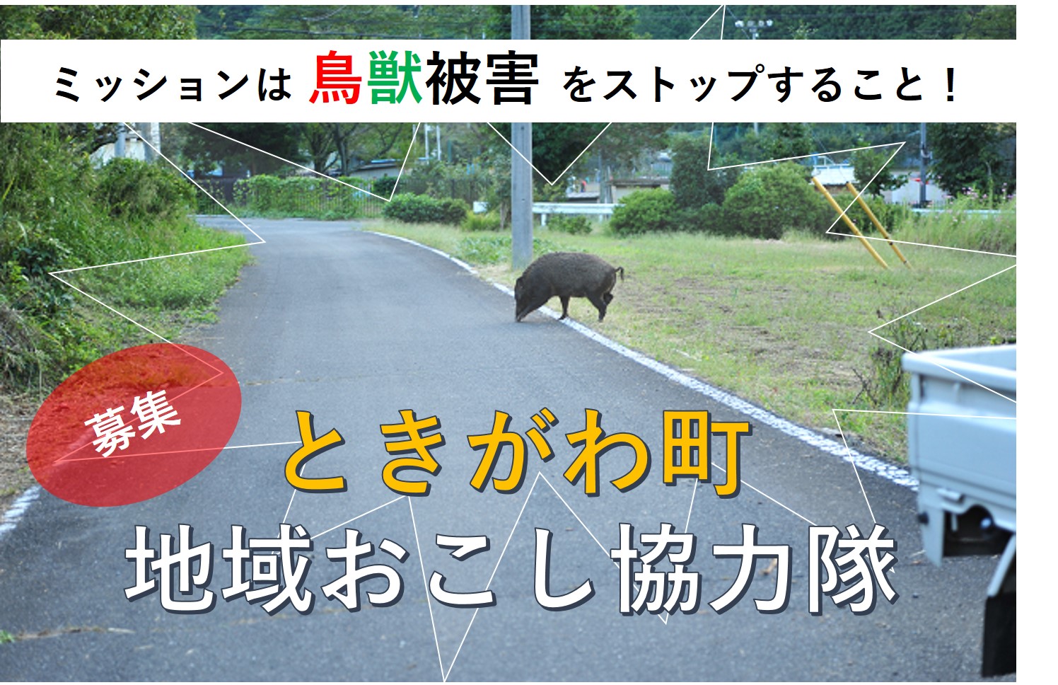 ときがわ町 地域おこし協力隊員 募集【鳥獣被害対策型】 | 移住関連イベント情報