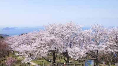 三豊市・地域おこし協力隊（若干名）を募集します。 | 移住関連イベント情報