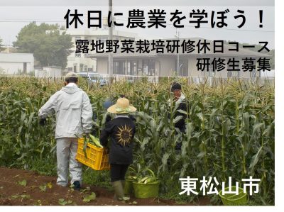 休日に農業を学ぼう!【露地野菜栽培研修休日コース】研修生募集 | 移住関連イベント情報