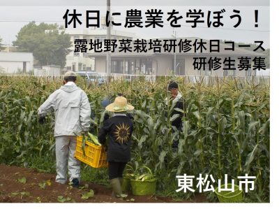 休日に農業を学ぼう！【露地野菜栽培研修休日コース】研修生募集 | 移住関連イベント情報