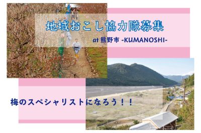 熊野市地域おこし協力隊を募集！～梅のスペシャリストになろう～ | 移住関連イベント情報