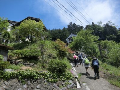 5/5(日)　飯能市 春のお散歩マーケット | 地域のトピックス