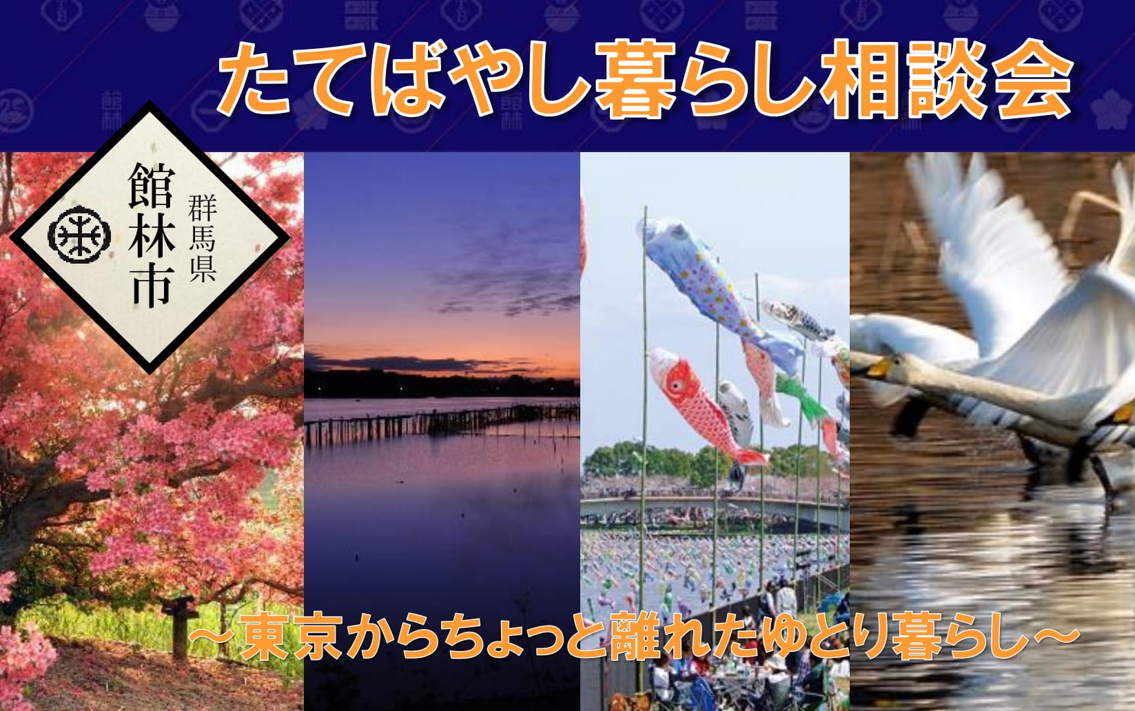 たてばやし暮らし相談会 ~東京からちょっと離れたゆとり暮らし~ | 移住関連イベント情報
