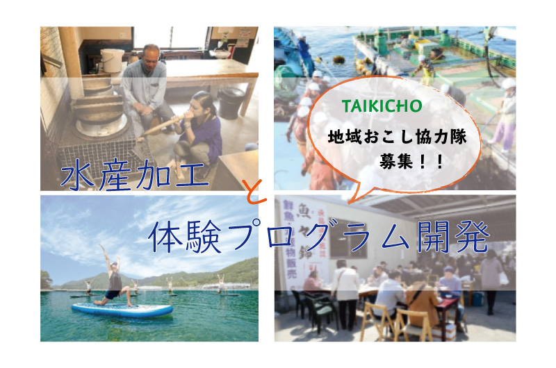 大紀町地域おこし協力隊募集 水産加工業と体験プログラム開発など | 移住関連イベント情報