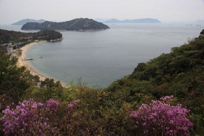 直島町・正規職員募集（看護師） | 地域のトピックス