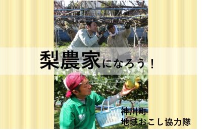 梨農家になろう！地域おこし協力隊募集 | 移住関連イベント情報