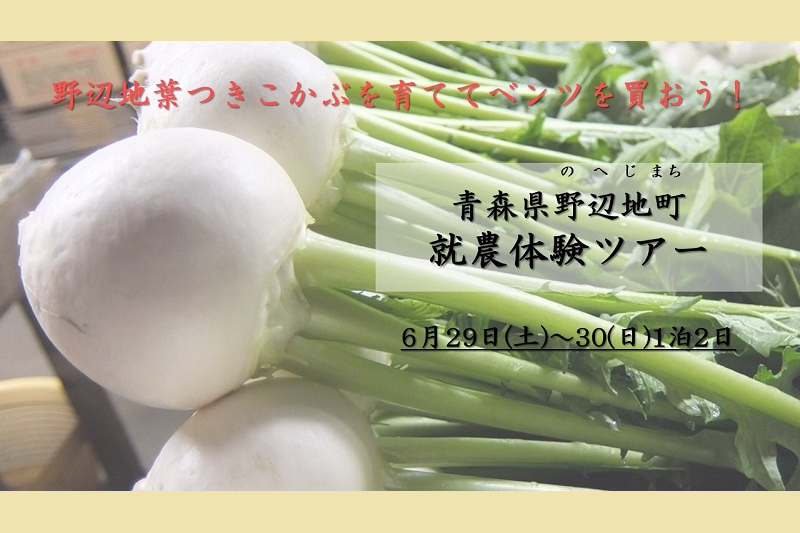 【青森県野辺地町】6/30(金)~7/2(日)就農体験ツアーを実施! | 移住関連イベント情報