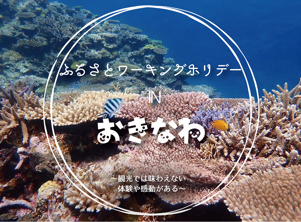 沖縄県ふるさとワーキングホリデー 10～12月期 | 地域のトピックス