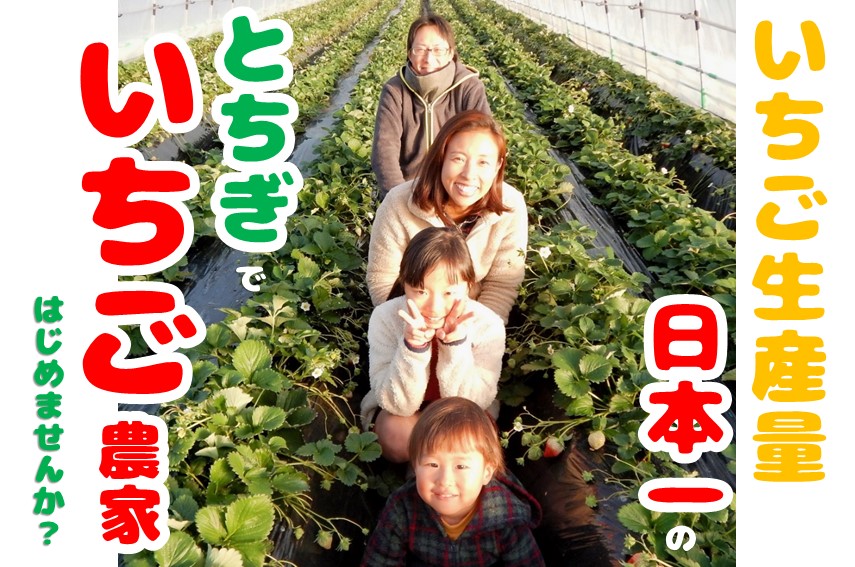 いちご生産量日本一のとちぎでいちご農家はじめませんか? | 移住関連イベント情報