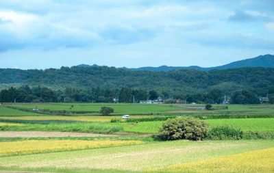 【益子町】「農業関連」地域おこし協力隊 2名募集！ | 移住関連イベント情報