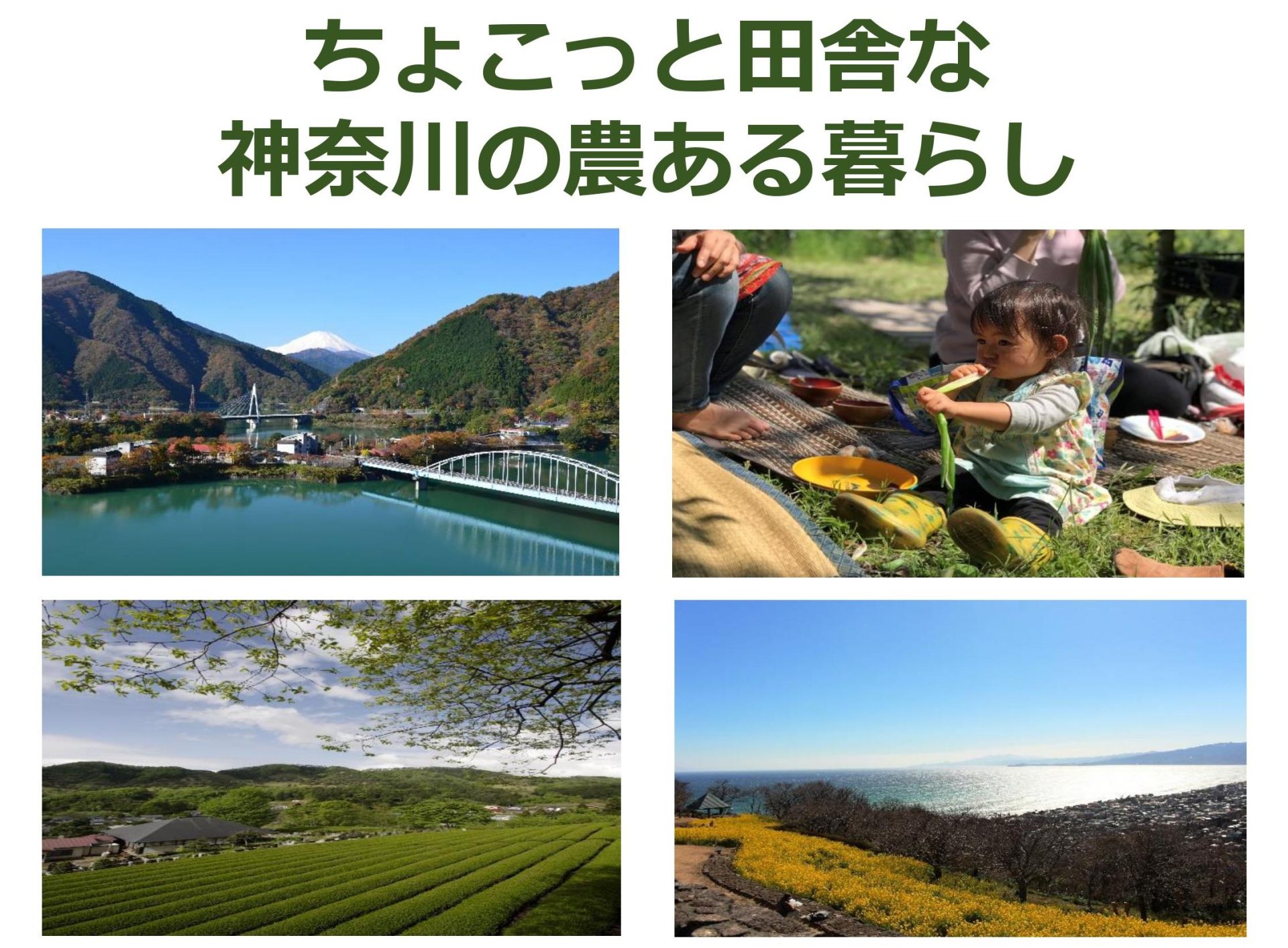 第３回神奈川県移住セミナー | 移住関連イベント情報