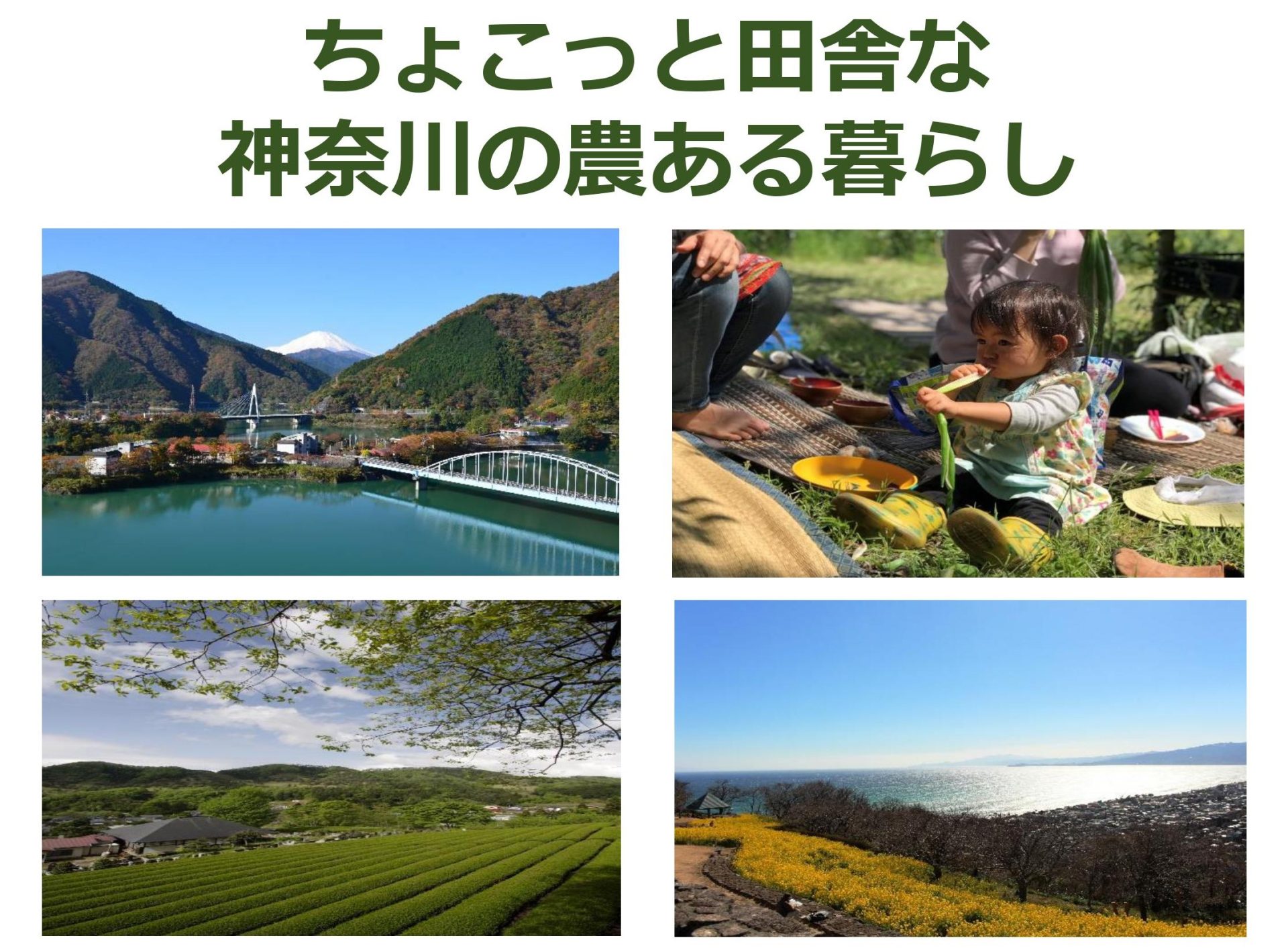 第3回神奈川県移住セミナー | 移住関連イベント情報
