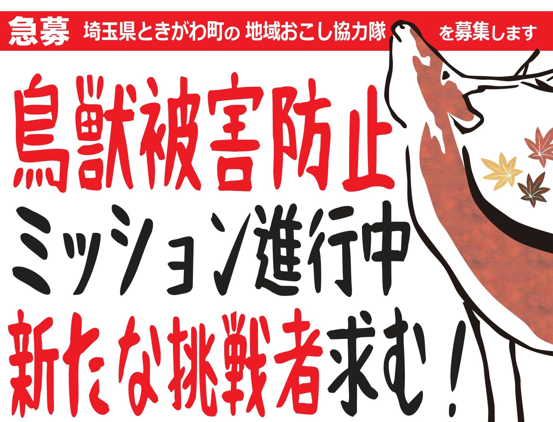 ときがわ町 地域おこし協力隊募集（鳥獣被害対策型） | 移住関連イベント情報