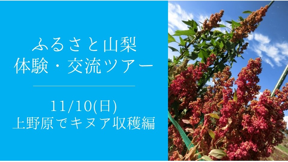 ふるさと山梨交流ツアー -上野原・キヌア収穫編- | 移住関連イベント情報