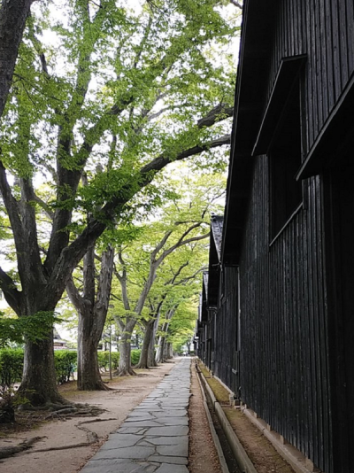 酒田市ライフデザインツアーに参加して来ました！～1日目～ | 地域のトピックス