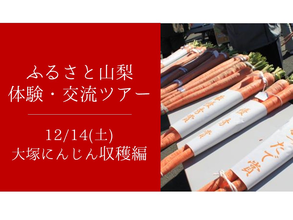 ふるさと山梨交流ツアー -大塚にんじん収穫編- | 移住関連イベント情報