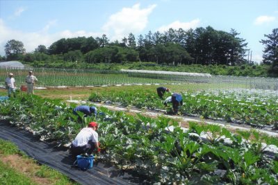 農業就職を目指す方へ！職業訓練生募集中 | 地域のトピックス