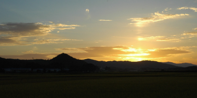 【7月】とちぎ市町移住相談デー【小山市】 | 移住関連イベント情報