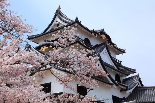 SMOUT オンライン移住ツアー7 2020 in 彦根 | 地域のトピックス