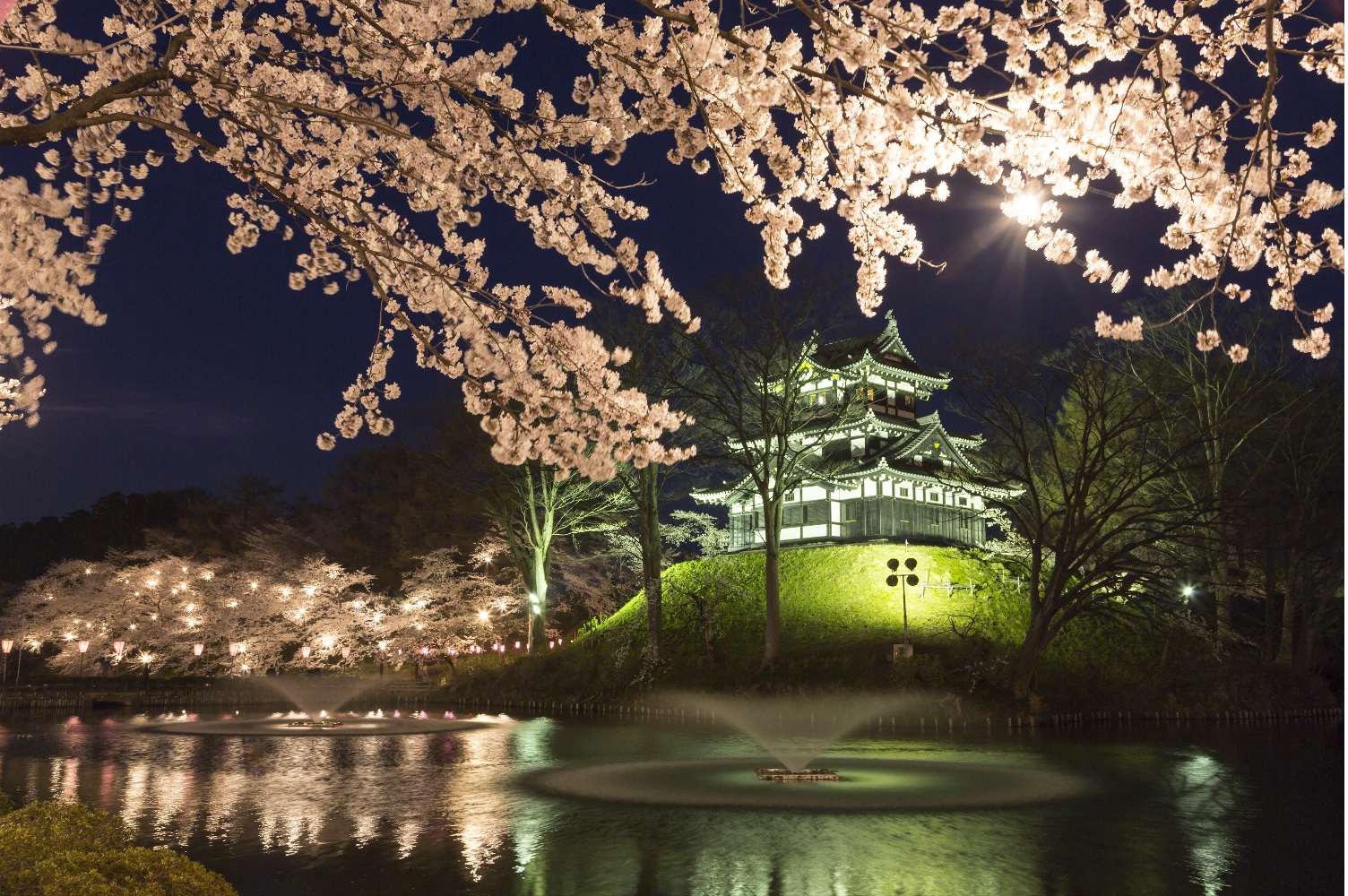 にいがた県の情報収集(上越・佐渡編) | 地域のトピックス