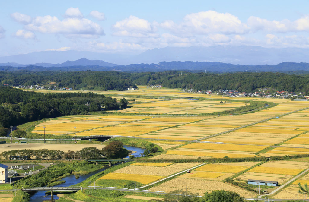 浅川町地域おこし協力隊１名募集?～農産物等販売促進・特産品の開発業務～ | 地域のトピックス