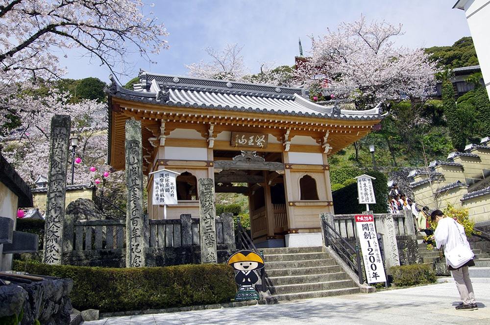 【美波町】薬王寺門前町再生化事業（古民家活用）の事業者を募集しています！ | 地域のトピックス