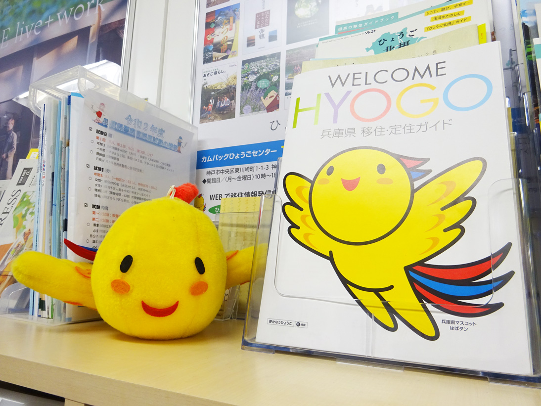 兵庫県の相談窓口が新設されました! | 地域のトピックス