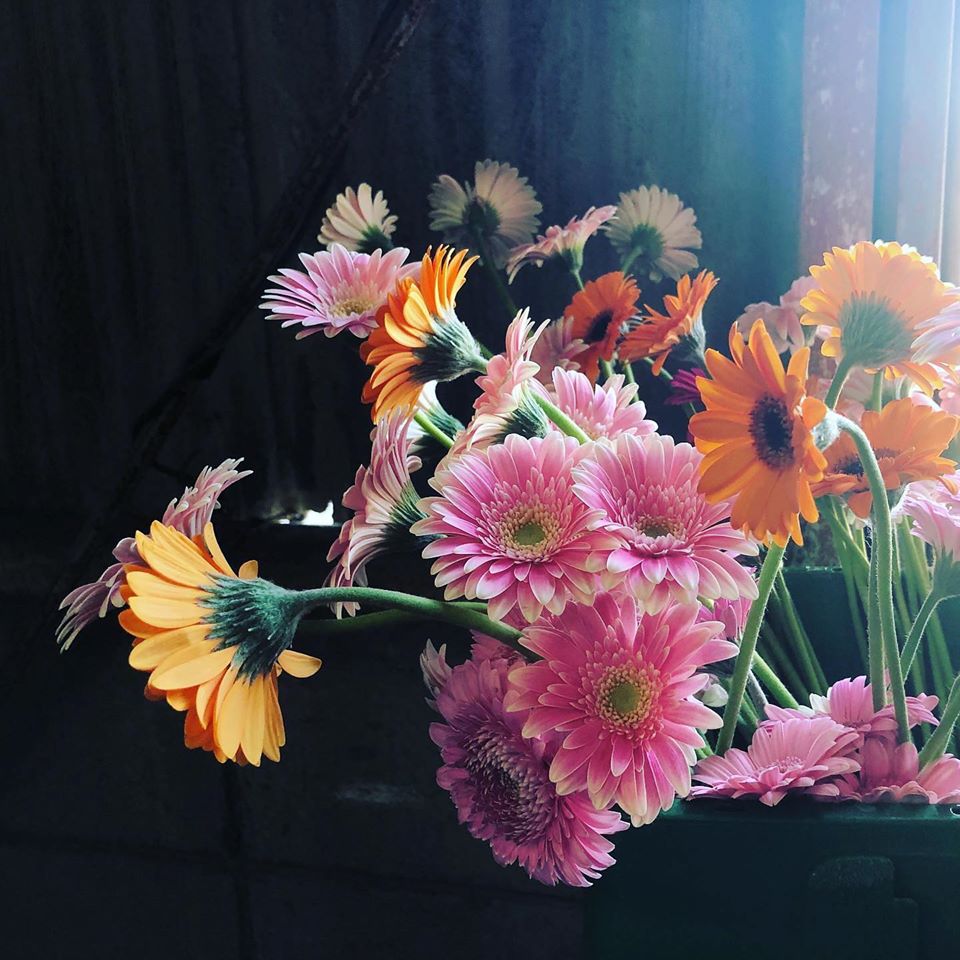 お部屋に花を飾りませんか＜広川町の便り＞ | 地域のトピックス
