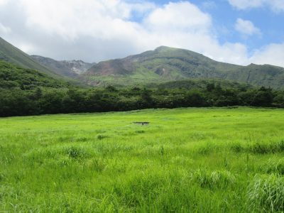 【九重町】フリーペーパー「BASARE(＝たくさん)」の、しあわせのおすそわけ。 | 地域のトピックス