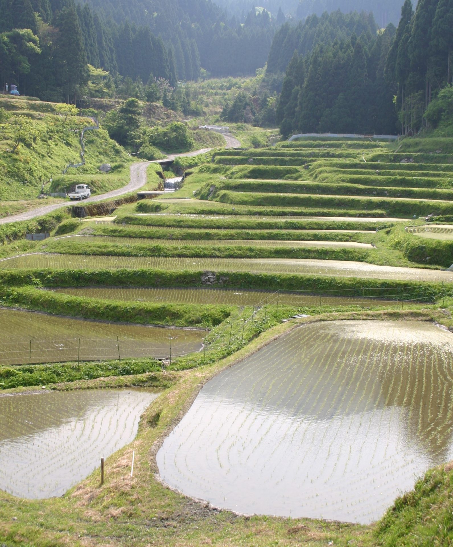 滋賀からひろがるストーリー?高島はやわかり　日本の百選inたかしま | 地域のトピックス